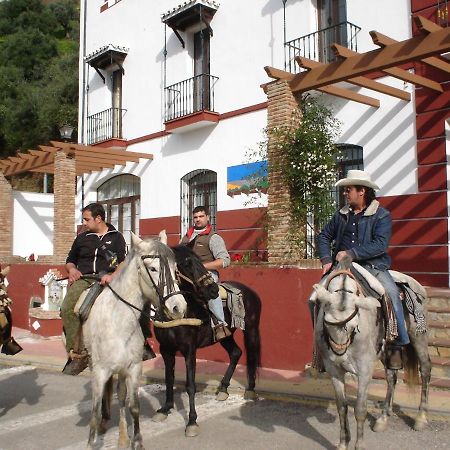 Apartamentos Rurales Mirador De Jubrique Luaran gambar